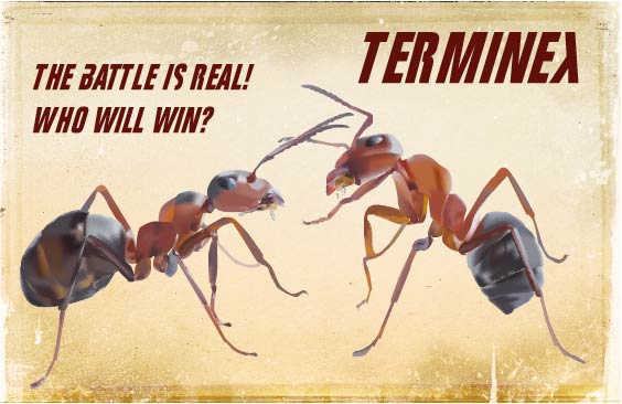 Ad for Terminex using Adobe Illustrator